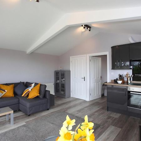 Deerfin Rentals Private Chalet with Hot Tub Ballymena Buitenkant foto