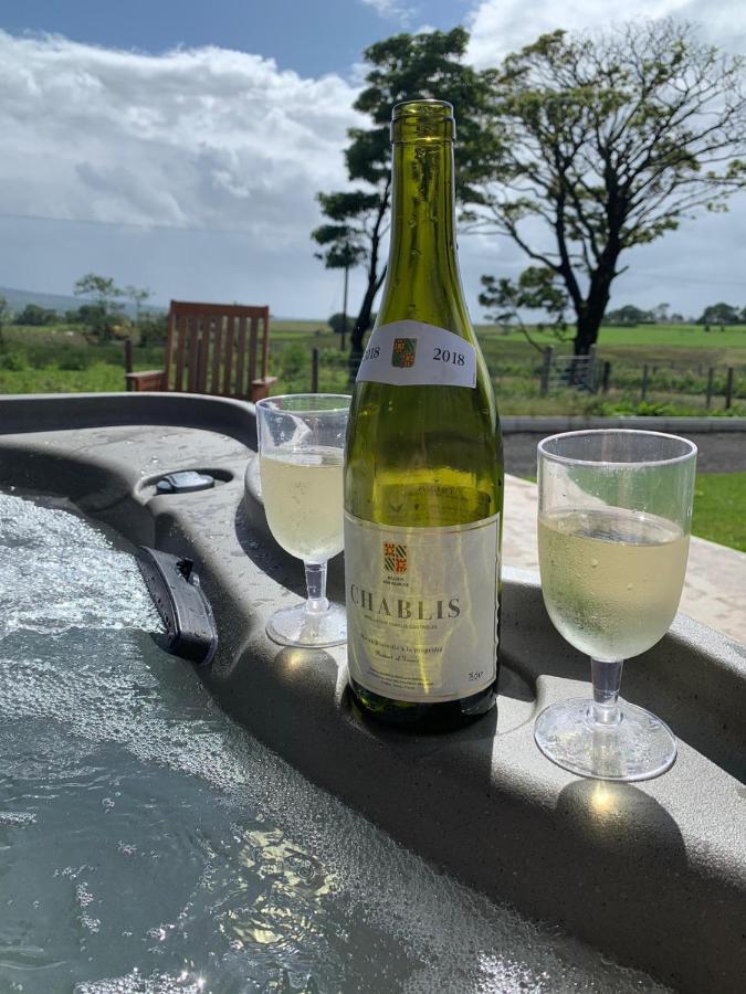Deerfin Rentals Private Chalet with Hot Tub Ballymena Buitenkant foto