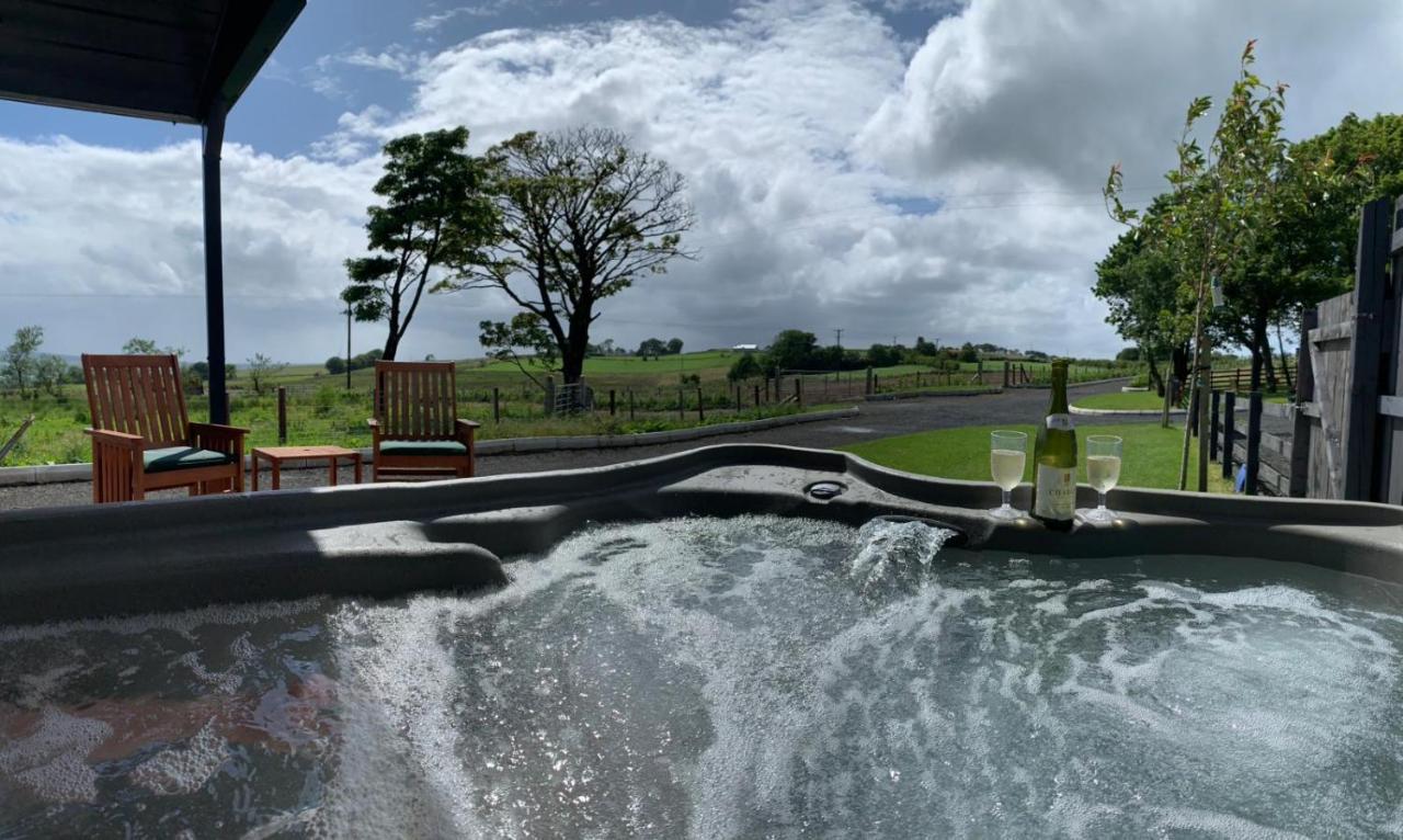 Deerfin Rentals Private Chalet with Hot Tub Ballymena Buitenkant foto