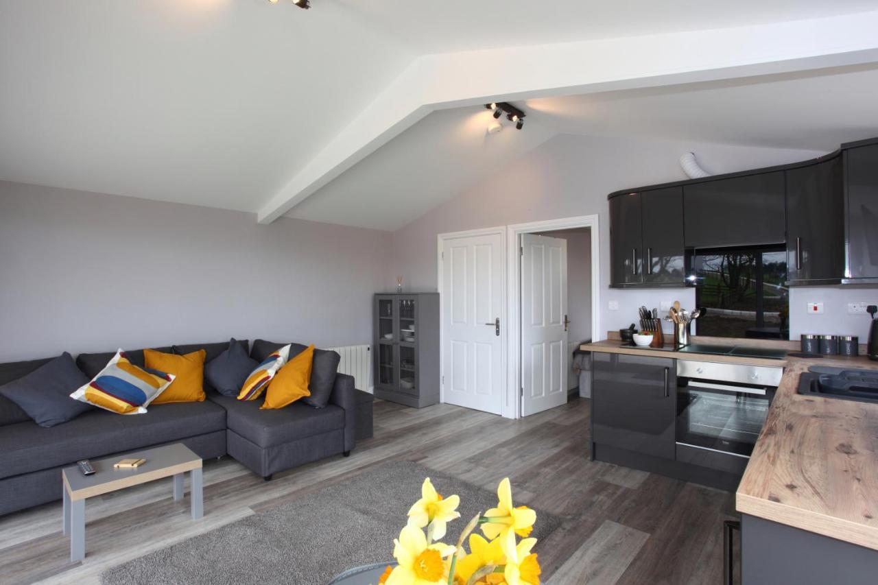 Deerfin Rentals Private Chalet with Hot Tub Ballymena Buitenkant foto